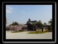010 Kyoto Arashiyama Daikaku-ji